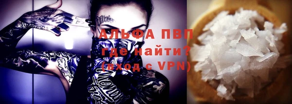 индика Балабаново