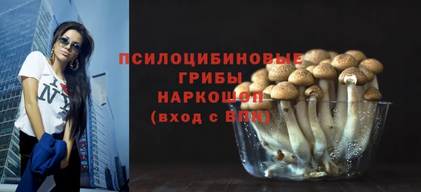индика Балабаново