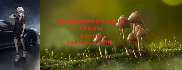 метадон Баксан