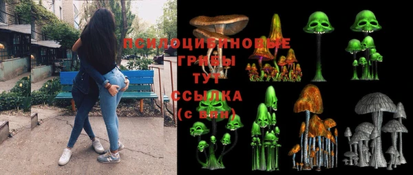 индика Балабаново