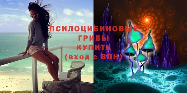 MESCALINE Аркадак