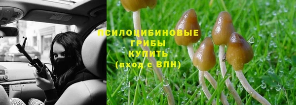 мет Балахна